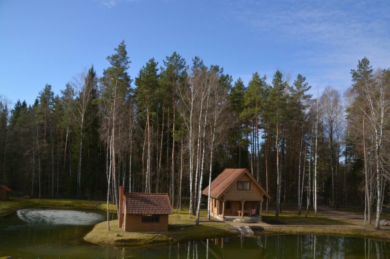 Medaji Villa Zakumuiza Bagian luar foto